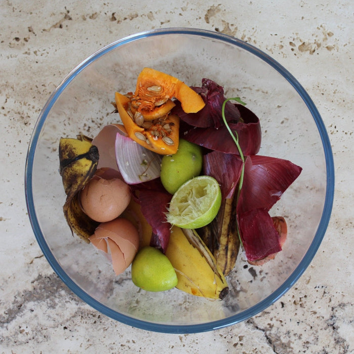 The Basics of Composting