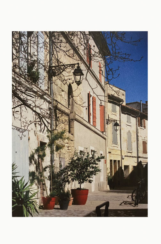 A Week Abroad - Arles & Camargue, France