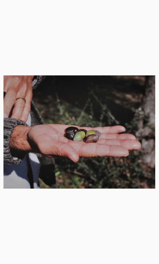 A Week Abroad - Alentejo, Portugal